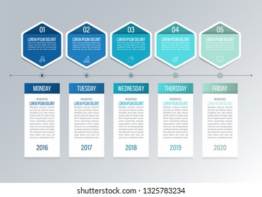 Timeline Infographics Design. Weekly Planner Vector.
