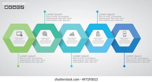 Linha do tempo da natureza infográficos modelo de design com 5 opções, diagrama de processo