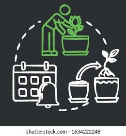 Timely repotting chalk RGB color concept icon. Houseplants concern. Indoor flowers caring. Regular replanting herbs idea. Vector isolated chalkboard illustration on black background
