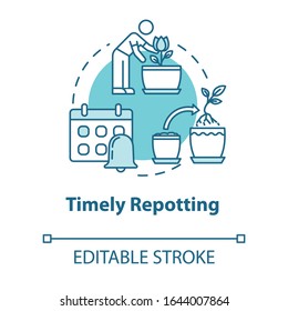 Timely repotting concept icon. Indoor flowers caring. Houseplants concern. Regular replanting herbs idea thin line illustration. Vector isolated outline RGB color drawing. Editable stroke