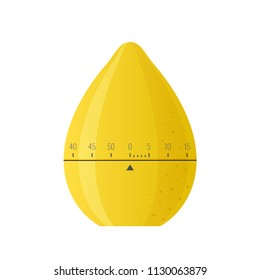 Timer for cooking, food, stopwatch, digital and home appliance. Digital countdown timer to indicate the end of the action, deadline. Household watches. Vector illustration isolated.