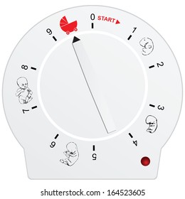 Timer pregnancy for nine months, with the symbol of the embryo. Vector illustration.
