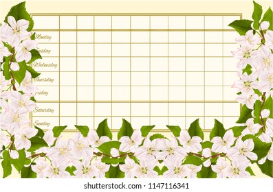 Timetable weekly schedule with twig of apple tree with flowers vintage vector Illustration editable hand draw
