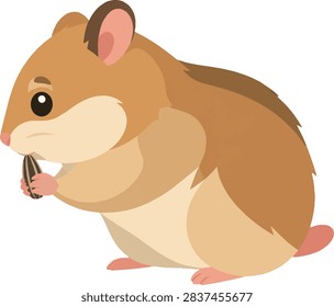 timid hamster nibbling seed, side profile facing left, full body, small rodent pet, garden vector illustration