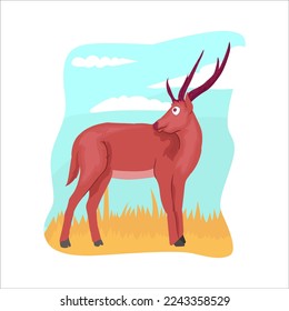 The Timor deer is a rare animal from Indonesia