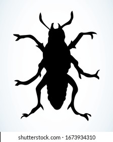 Timor olen clamber insecta on light paper text space backdrop. Outline black ink pen hand drawn forest life logo pictogram emblem design in vintage art doodle engrave print style. Close up micro view