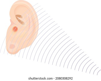 Tinnitus disorder ringing in the ear hearing loss wave level anxiety test aid examination internal exposure problem circulatory nerves hair cell channel earwax