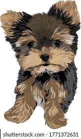 A tiny adorable puppy vector art