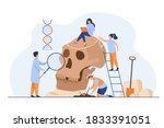 Tiny anthropologists studying Neanderthal skull flat vector illustration. Cartoon people doing DNA and Paleolithic research. Anthropology and prehistoric museum concept