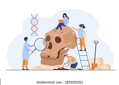 Tiny anthropologists studying Neanderthal skull flat vector illustration  Cartoon people doing DNA   Paleolithic research  Anthropology   prehistoric museum concept