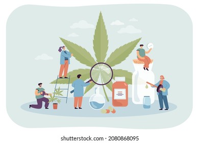 Tiny Cartoon People Examining, Taking Care Of Hemp Providing It With Water And Food, Producing Medicaments. Cannabis Flat Vector Illustration. Production Of Weed, Healthcare, Medicine Concept