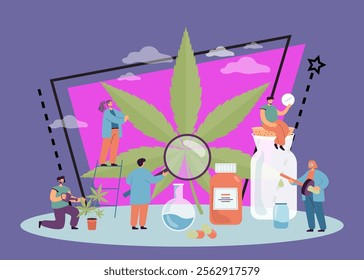 Tiny cartoon people examining, taking care of hemp providing it with water and food, producing medicaments. Cannabis flat vector illustration. Production of weed, healthcare, medicine concept