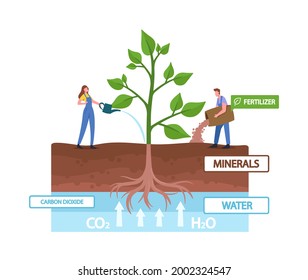 Tiny Characters Fertilizing and Watering Huge Green Plant Convert Light Energy during Photosynthesis Process. Plants, Tree, Leaf Content Carbohydrates, Environment. Cartoon People Vector Illustration