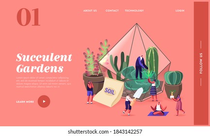 Tiny Characters Grow Cacti and Succulents in Pots at Home Landing Page Template. Gardening, People Planting Hobby and Making Plants Compositions in Terrarium Concept. Cartoon Vector Illustration