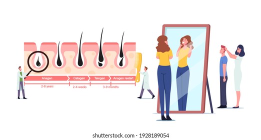 Tiny Doctor Character at Huge Medicine Infographics Hair Growth and Loss Cycles. Anagen, Catagen, Telogen and Anagen Restart. Woman Admire of her Shag in Mirror. Cartoon People Vector Illustration