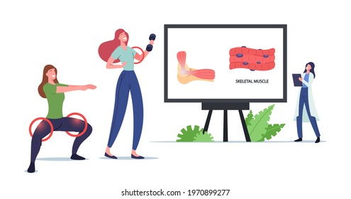 Tiny Doctor Character Presenting Skeletal Musculature on Huge Screen with Infographics. Women Workout Exercising with Dumbbells and Squatting for Healthy Muscles. Cartoon People Vector Illustration