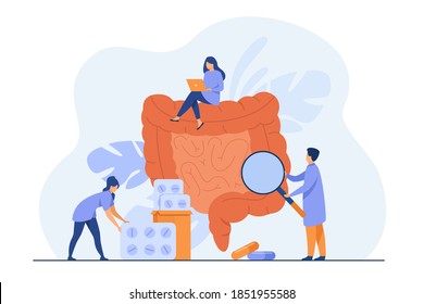 Tiny Doctors Checking And Treating Large Intestine Isolated Flat Vector Illustration. Cartoon Physicians Studying Colon Inflammation. Medicine And Digestive System Health Concept