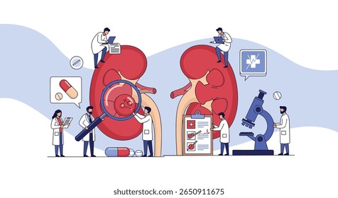 Médicos minúsculos estão conduzindo pesquisas médicas em um rim grande com um microscópio e comprimidos