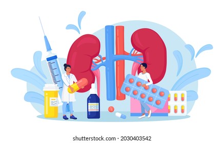Tiny Doctors doing medical research, examination, check of health. Kidney disease treatment by pharmaceutical. Nephrology, urology. Diagnosis of Pyelonephritis, kidney stones, renal failure, cystitis