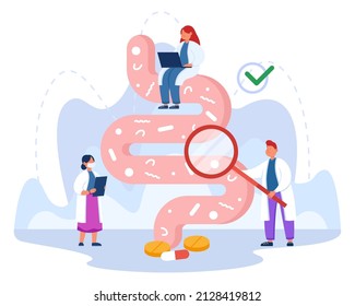 Tiny doctors examining gut flora flat vector illustration. Therapists checking digestive system, gastrointestinal tract, bowel, friendly microorganisms or bacteria. Nutrition, health concept