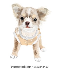A tiny dog vector art of puppy