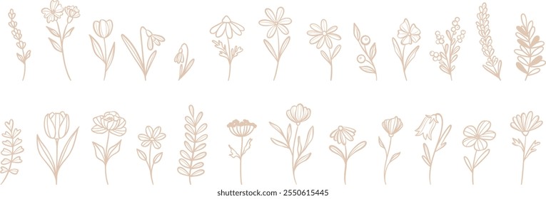 Tiny flower doodles, vector plant illustration set, elegant beige decorative floral line art, cute spring clip art set, isolated