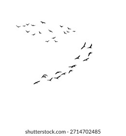 Tiny flying birds silhouette forming a light and airy composition, suitable for minimalist backgrounds, nature concepts, and peaceful visual storytelling.
