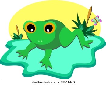 Tiny Frog Pond