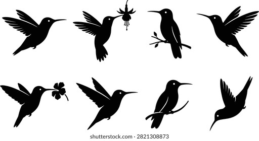 Tiny hummingbird silhouette poses feeding and hovering near flowers.