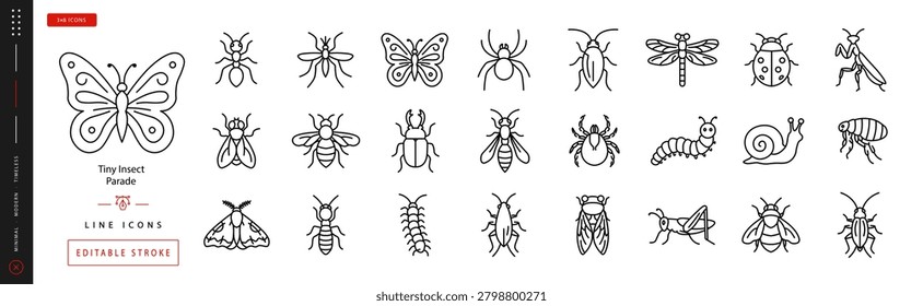 Tiny Insect Parade. Line icon set of Insects and Bugs: ant, mosquito, butterfly, spider, cockroach, dragonfly, fly, bee, beetle, wasp, tick, caterpillar, moth, termite, centipede, locust, cricket,
