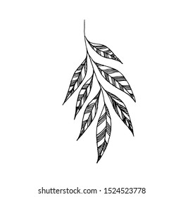 Tiny Leaves Plants Hand drawn vector illustration for logo, invitations, graphic design