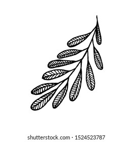 Tiny Leaves Plants Hand drawn vector illustration for logo, invitations, graphic design