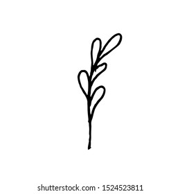 Tiny Leaves Plants Hand drawn vector illustration for logo, invitations, graphic design