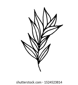 Tiny Leaves Plants Hand drawn vector illustration for logo, invitations, graphic design