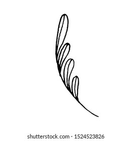 Tiny Leaves Plants Hand drawn vector illustration for logo, invitations, graphic design