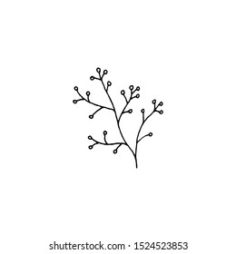 Tiny Leaves Plants Hand drawn vector illustration for logo, invitations, graphic design
