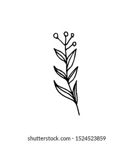 Tiny Leaves Plants Hand drawn vector illustration for logo, invitations, graphic design