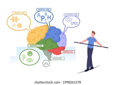 Tiny Male Character Balancing on Rope at Huge Human Brain Anatomy Separated on Colorful Parts Frontal, Parietal, Occipital, Temporal Lobes, Cerebellum, Brainstem. Cartoon People Vector Illustration