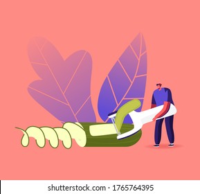 Tiny Male Character Peeling Huge Cucumber for Making Vegetable Sculpture or Decorate Culinary Meal. Carving Craft, Thailand Art, Creative Hobby, Creation of Carved Veggies. Cartoon Vector Illustration