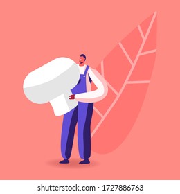 Tiny Male Character in Working Overalls Collecting Fresh Harvest of Champignons on Mushroom Growing Plant. Food Production, Fungiculture Growth Industry. Man Hold Fungi. Cartoon Vector Illustration