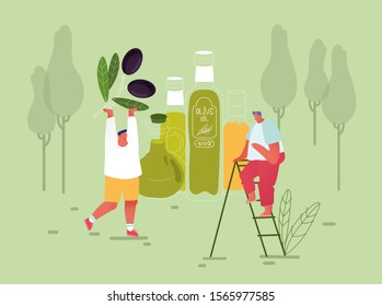 Tiny Male Characters Stand on Ladder at Huge Extra Virgin Olive Oil Glass Bottles and Carry Green Fresh Olives Branch on Nature Background. Farmers Natural Production. Cartoon Flat Vector Illustration