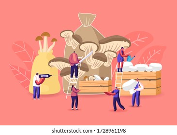 Tiny Male and Female Characters Growing Mushrooms at Home. Men and Women Gardening Hobby, Grow and Cut Shiitake, Porcini and Champignons in Sack and Wooden Box. Cartoon Vector People Illustration