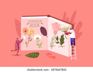 Tiny Male and Female Characters Stand on Ladder at Huge Book for Collecting Herbarium. People Learning Floral Elements Dried Herbs, Grass and Twigs, Natural Field Plants. Cartoon Vector Illustration