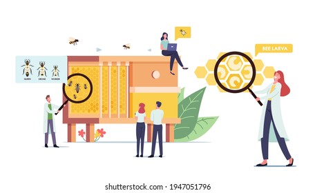 Tiny Male and Female Scientists Characters Learning Bees at Huge Beehive with Three Types of Insects Queen, Drone and Worker. Apiary, Biology Science Concept. Cartoon People Vector Illustration