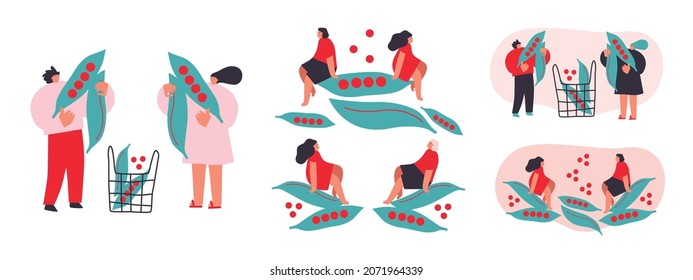 Tiny man and woman with peas. Vector illustration. Funny colored typography poster, advertising, packaging print design, market, farmers market decoration. vegetables concept. Isolated - Shutterstock ID 2071964339