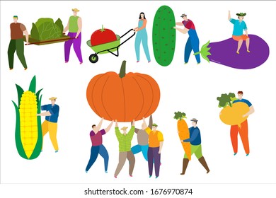 Tiny man and women in work clothes collect nature products in vector natural food illustration isolated on white. People bring vegetables, carry tomatoes on cart, mans holding corn, cucumber, pumpkin