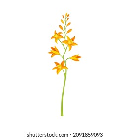 Tiny orange flowers, floral design element vector illustration