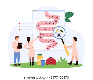 Tiny people investigating harmful gut flora, focusing on digestive health issues, exploring bacteria and its impacts on overall wellness vector illustration.