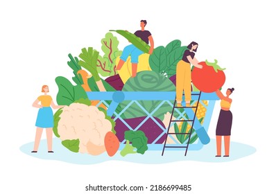 Tiny people with vegetables. Female and male characters carrying veggies to basket. Container full of fresh, organic food as cabbage, tomato, eggplant, corm and broccoli. Healthy lifestyle