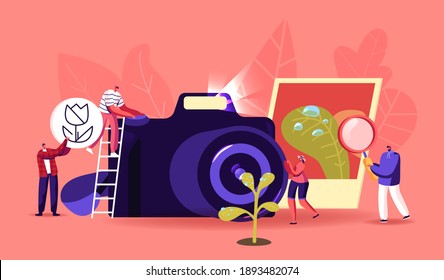 Kleine Fotografen bei der riesigen Fotokamera fotografieren Makrofotografie. Kreative Figuren fotografieren die Natur, nehmen Sie Micro Foto Shot von kleinen Objekten. Kreatives Hobby. Vektorgrafik von Cartoon People